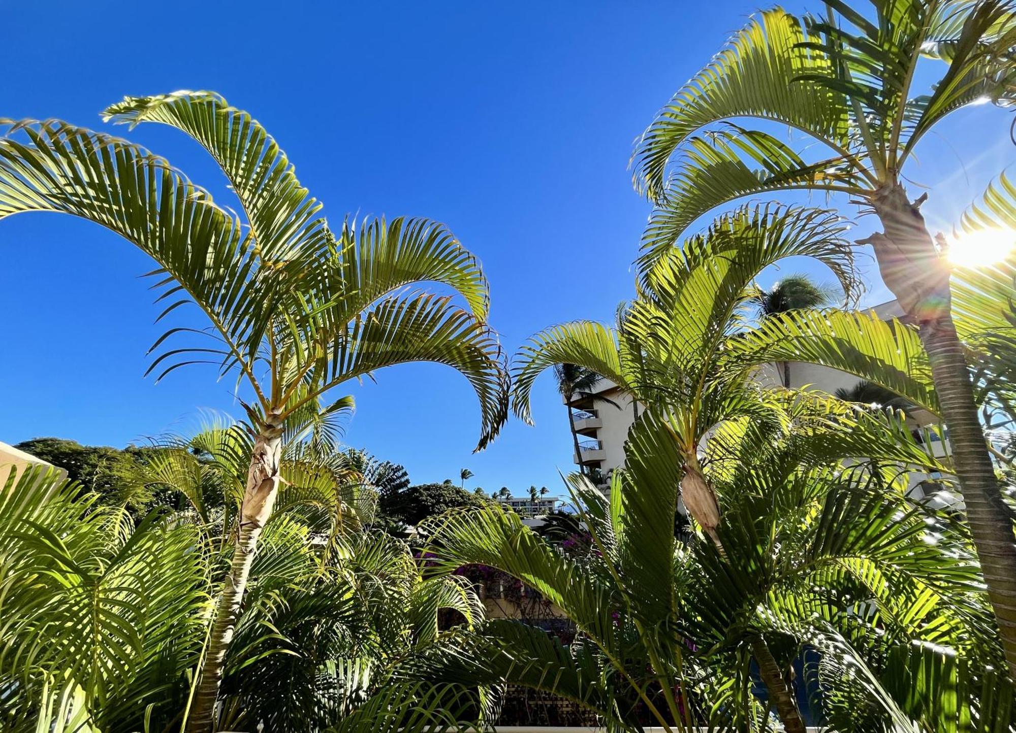 Maui Banyan Villa Уайлеа Стая снимка